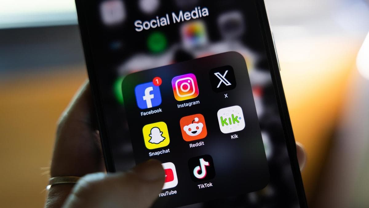 ‘Safety risk’: Glorification of anti-Semitic violence online soaring, hate inquiry told
