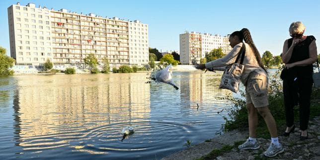 Seine murders: Psychiatric assessment finds suspect cannot be held criminally responsible