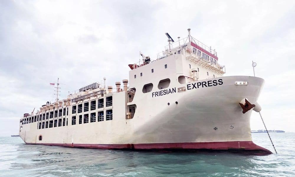 Vroon cashes out of livestock shipping business