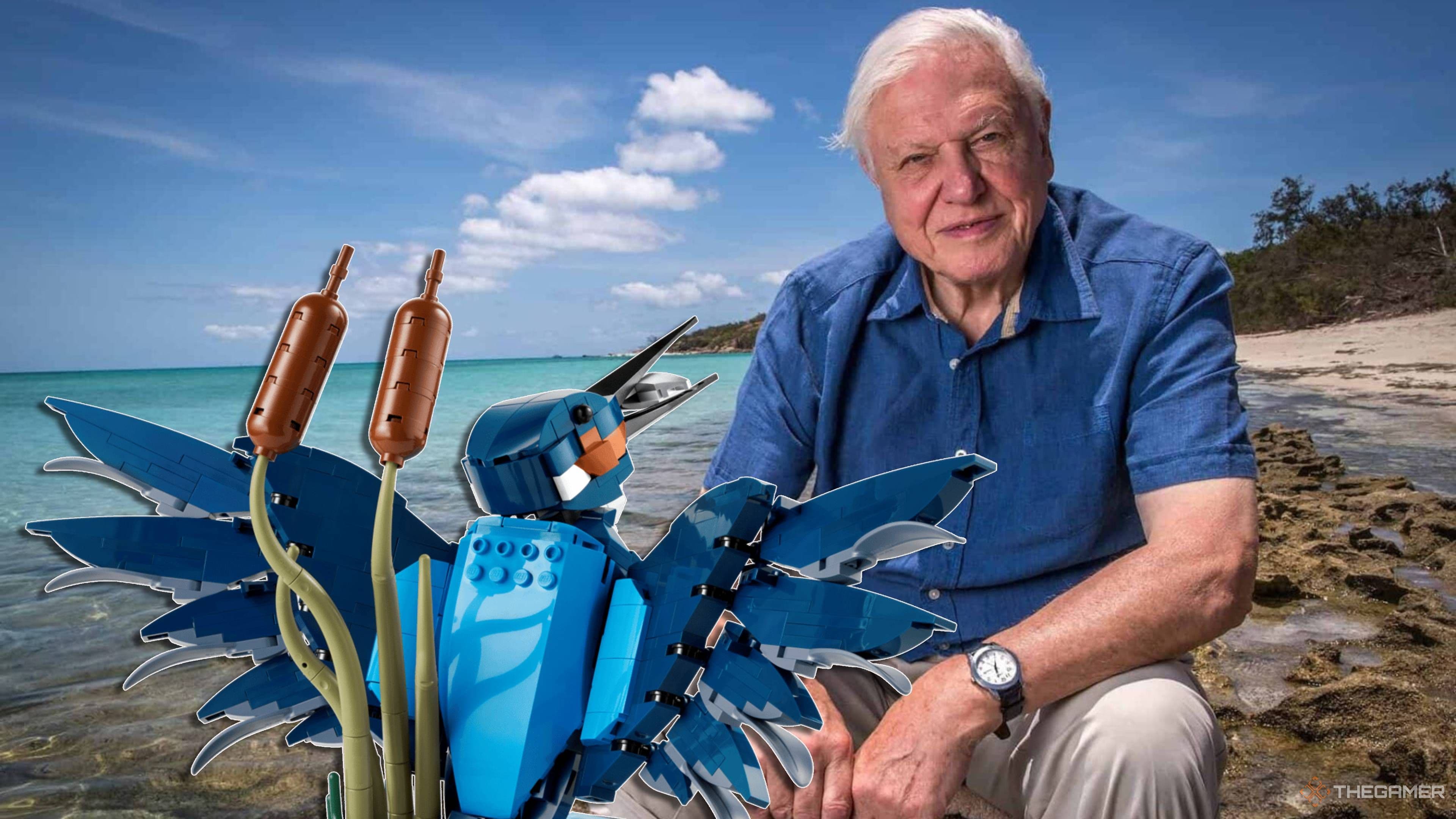 Lego Has Removed Its Age Limit To Celebrate David Attenborough's 100th Birthday