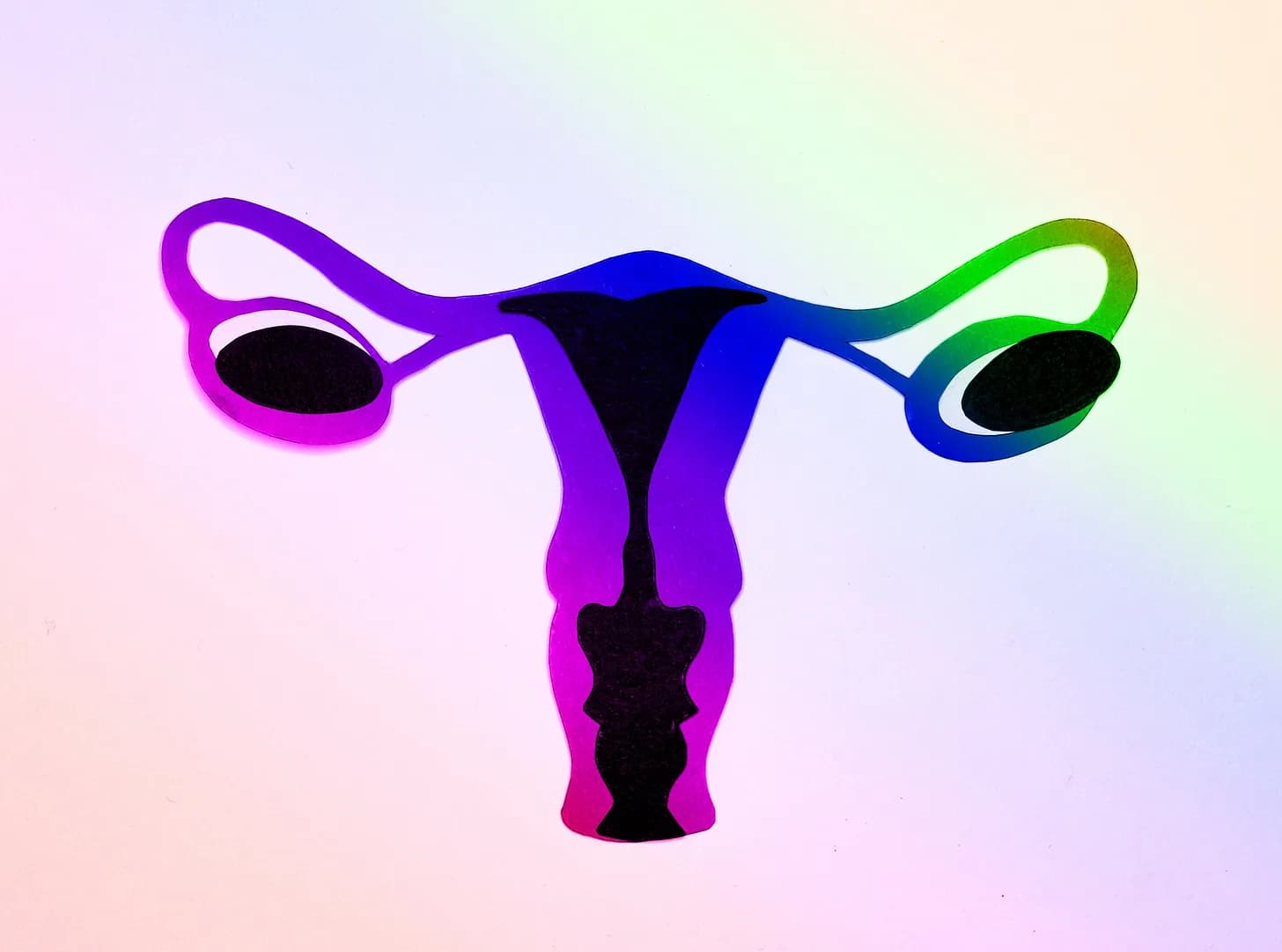 Samuel Alito: You Can Have Your Abortion Pills, But Only Until Thursday