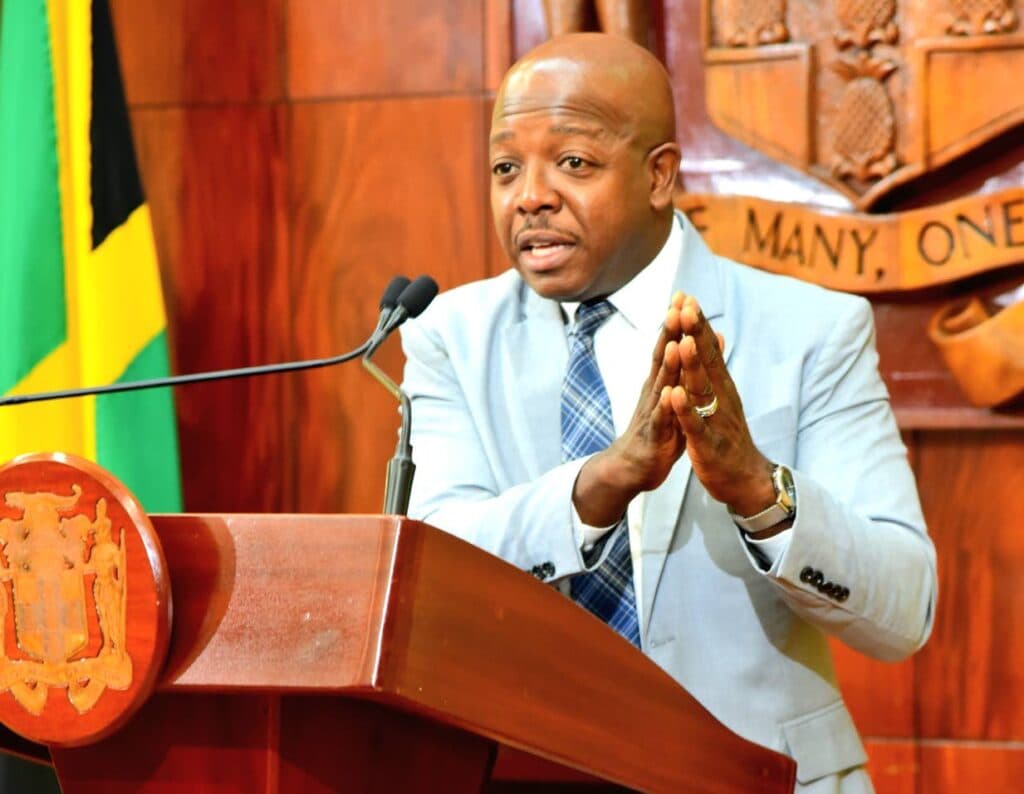 Oversight coming for BPO sector — Charles Jr